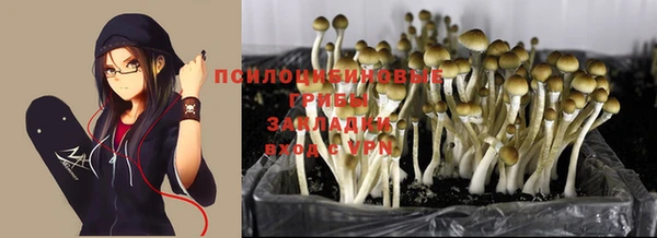 марки nbome Новодвинск