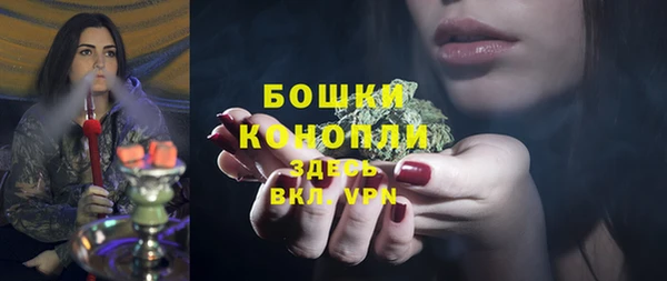 ешки Новозыбков