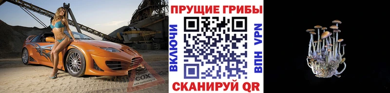kraken маркетплейс  Тюкалинск  Галлюциногенные грибы Magic Shrooms 